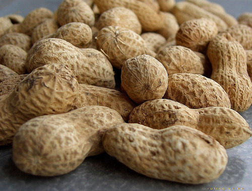 Peanut Legumes
