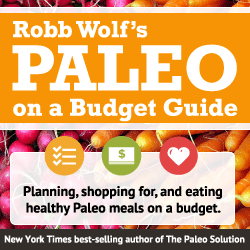 paleo diet meal plan on a budget