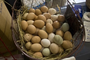 eggs-paleo-mayo