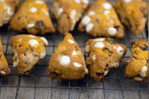 Paleo Breakfast Ideas - Cranberry Orange Scones