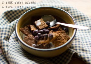 Paleo Breakfast Ideas - Paleo Cinnamon Square Crunch Cereal
