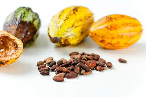 cacao-nibs