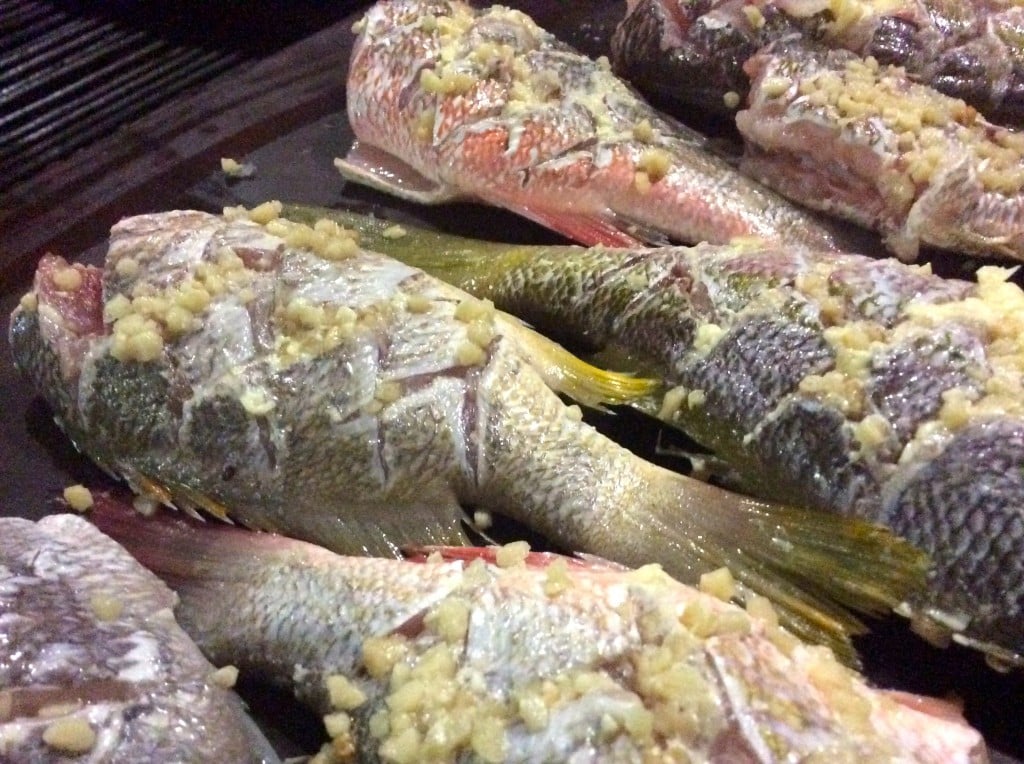 Grilled Skin On Fish
