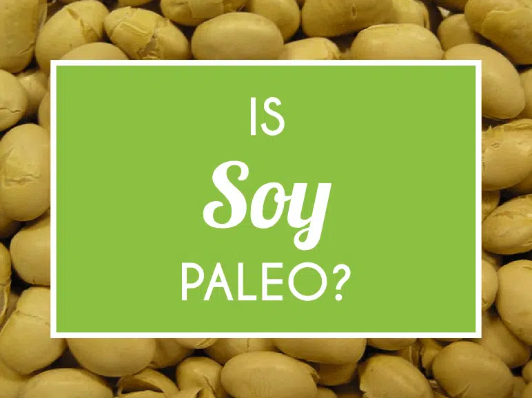 Is Soy Paleo?  Ultimate Paleo Guide