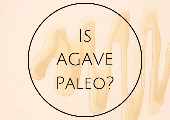 Is agave paleo