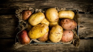 potato-resistant-starch