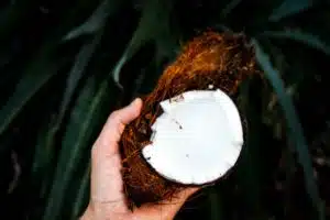 best-coconut-oil