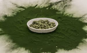 spirulina