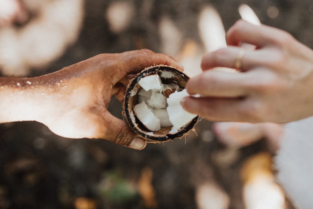 coconut-meat