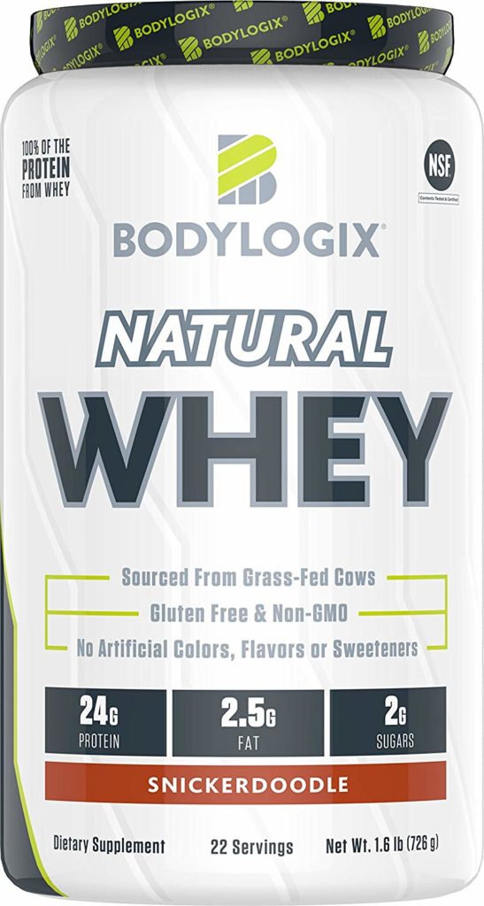 bodylogix-protein