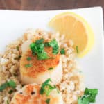 scallops-and-cauliflower-rice