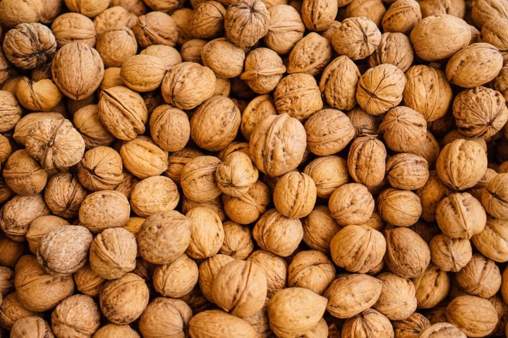 walnuts-nuts