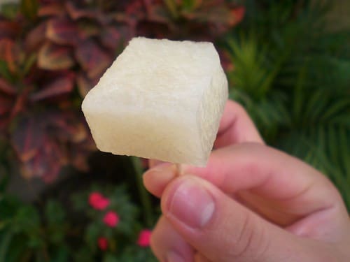 jicama