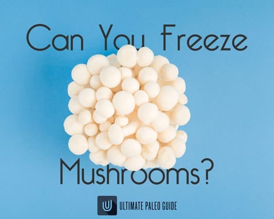 can-you-freeze-mushrooms
