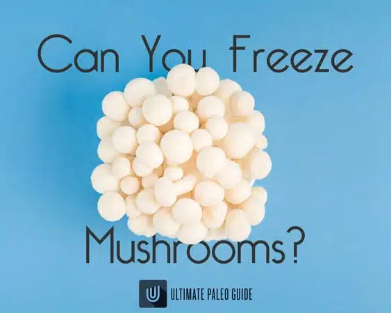 can-you-freeze-mushrooms