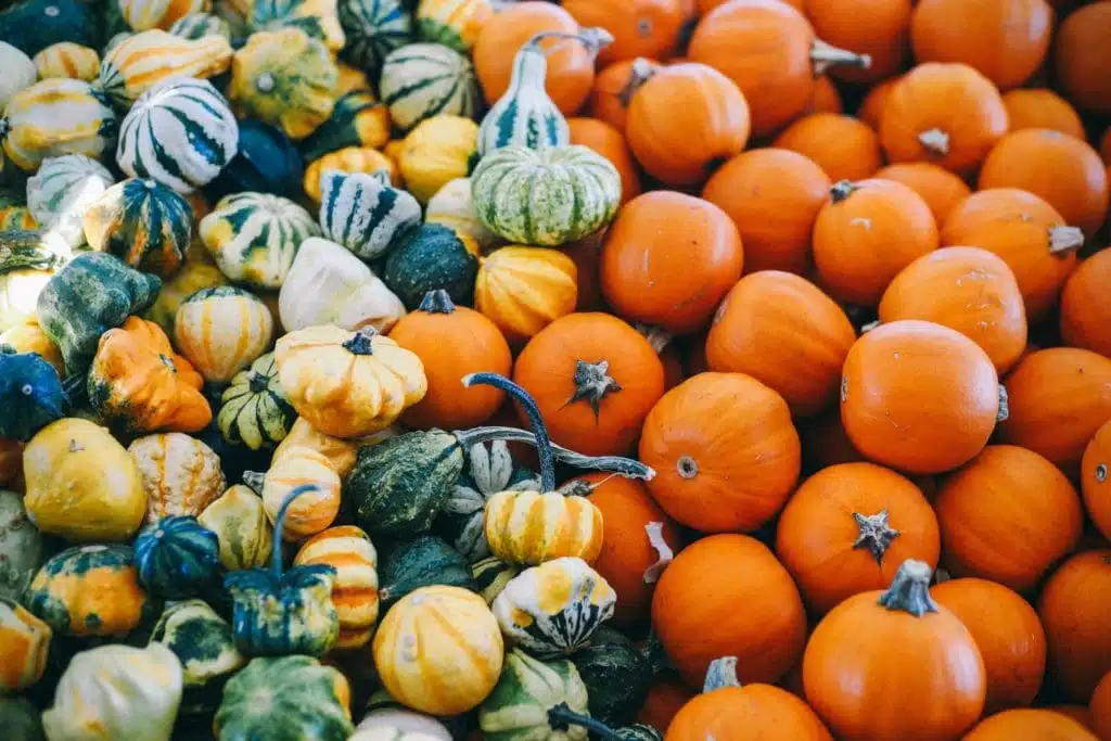 assortment of different squash