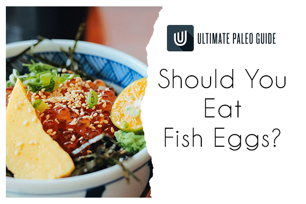 All About Fish Eggs