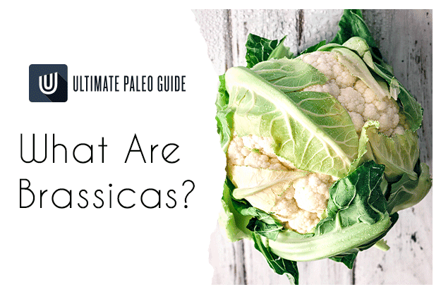 what-are-brassicas