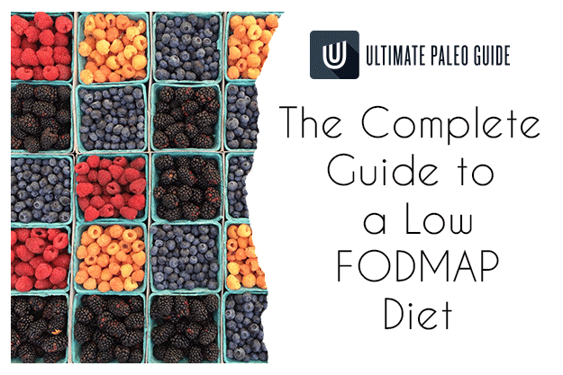low fodmap diet foods
