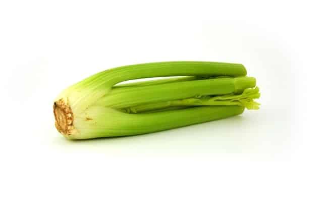 celery stalk 