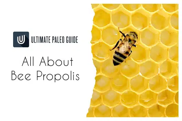 bee propolis